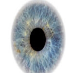 Voted Sydney's Best Laser Eye Clinic 2024